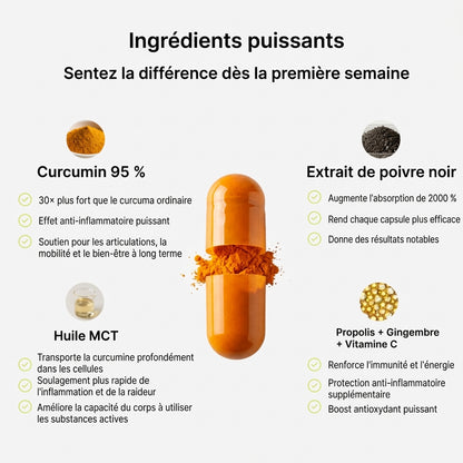 Biolabs – Curcumine de Curcuma 1000 mg